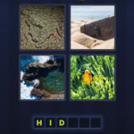 4 pics 1 word Bonus July 13 2025