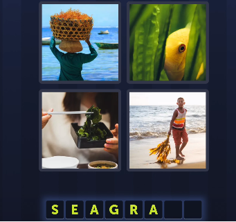 4 pics 1 word Bonus July 16 2025