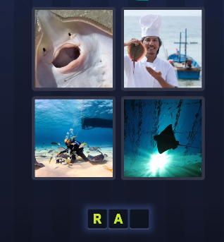 4 pics 1 word July 15 2025