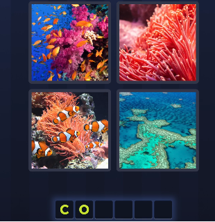 4 pics 1 word July 16 2025