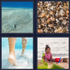 Sand - 4 Pics 1 Word