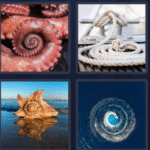 4 Pics 1 Word – July 27, 2025 Daily Bonus Puzzle Answer: SPIRAL