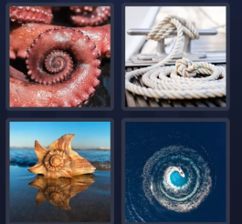 4 Pics 1 Word – July 27, 2025 Daily Bonus Puzzle Answer: SPIRAL