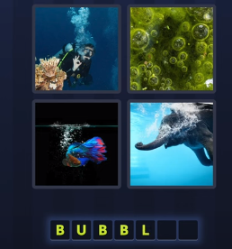 bubbles