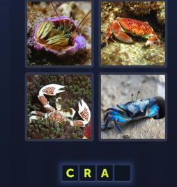 crab - 4 PICS 1 WORD JULY 21 2025
