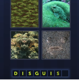 discguise