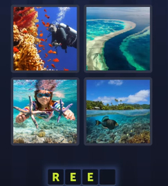 reef