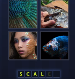scales