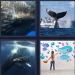 whale