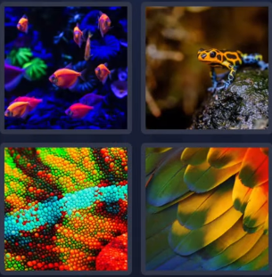 4 Pics 1 word August 1 2025 bonus