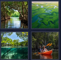 4 Pics 1 Word – Bonus Puzzle Answer (July 30, 2025): MANGROVES**

If you're stuck on the **4 Pics 1 Word** bonus puzzle for **July 30, 2025**, here’s your clue breakdown!

The four images show:

1. A serene waterway surrounded by thick, arching trees.
2. An aerial view of a lush, green wetland with winding water channels.
3. Half-submerged mangrove roots in clear water under bright sunlight.
4. Two people kayaking through a forested water area.

All these pictures point toward one common theme – **Mangroves**.

### Why the Answer is “Mangroves”:

* **Mangroves** are coastal forests found in tropical and subtropical regions.
* They thrive in **brackish water** and have unique root systems that can be seen above the water.
* The images clearly highlight the **dense forest, aquatic environment**, and **activities like kayaking** which are often associated with mangrove ecosystems.