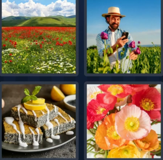 4 pics 1 word august 20 25 answer is Poppy