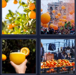 4 pics 1 word August 2 2024 answer Orange