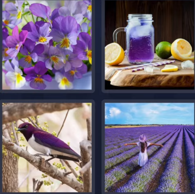 4 pics 1 word August 10 2025 bonus puzzle answer Violet